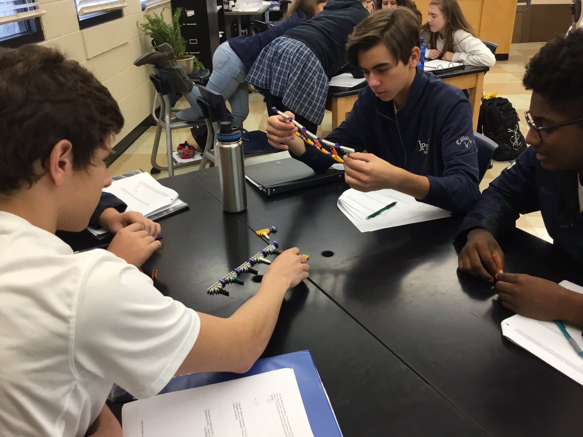 Junior Biology students are investigating DNA structure and replication, learning about the cell cycle and how cells are able to divide.
