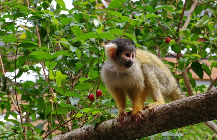 Ute Wolf tweet media