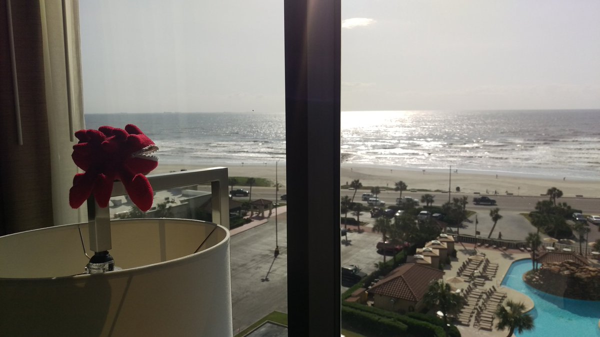 DakoGuyver's tweet photo. We've arrived at @OniCon and we're just admiring the view before heading out. #hellbug #anime #convention https://t.co/Mxnv0z6qSz