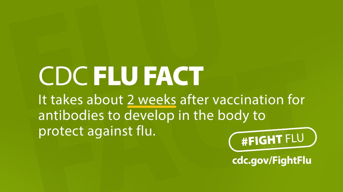 CDCFlu's tweet photo. #FluFactFriday: It takes 2wks after getting a #flu shot for protective antibodies to develop. So get your flu shot today. #FightFlu https://t.co/BjD1uPMepP