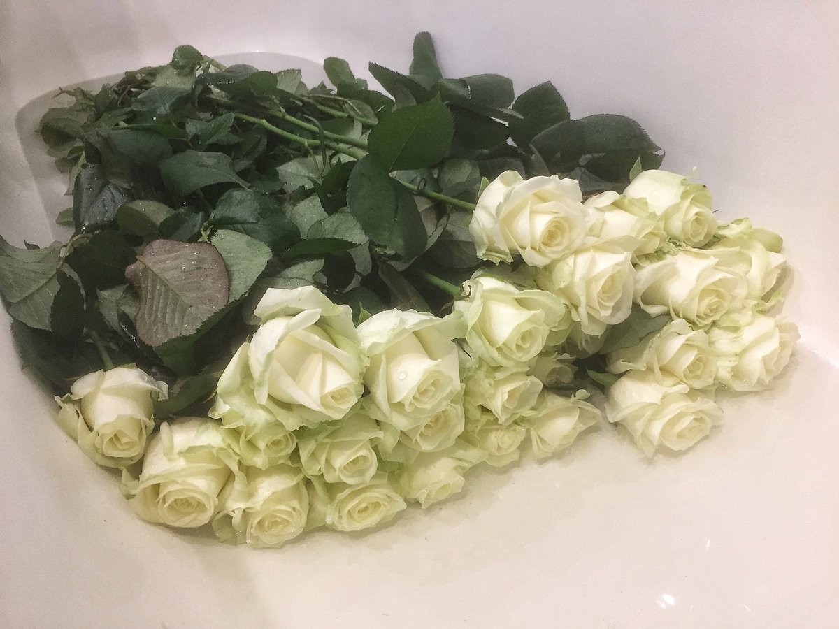 olya_Luchkina's tweet photo. 🤤 https://t.co/xS1JGuYX6L