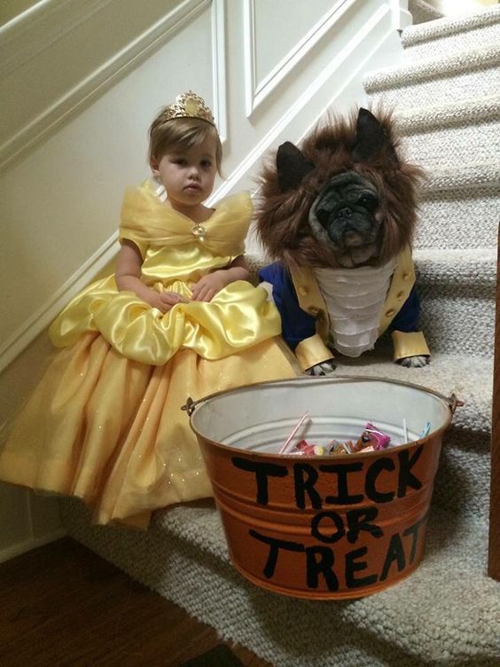 adplugg's tweet photo. Beauty and the Beast! #pugoftheweek #halloween #pugs #dogs #funny https://t.co/AD6z9Q3Iv5