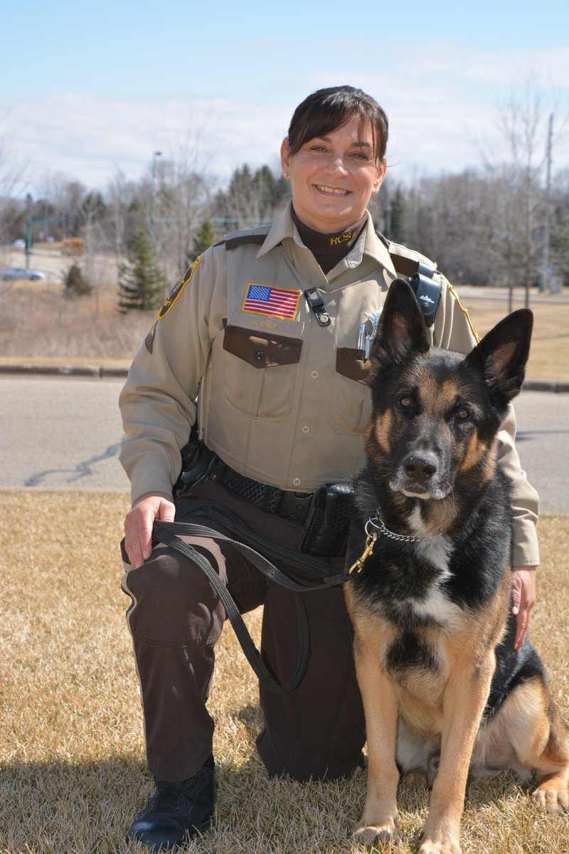 RamseySheriff's tweet photo. This week we mourn the loss of K9 Reggie (who lost his battle with an illness).  He was a great partner to Deputy Daly.
#NeverForgotten https://t.co/yPwVnBPB8k