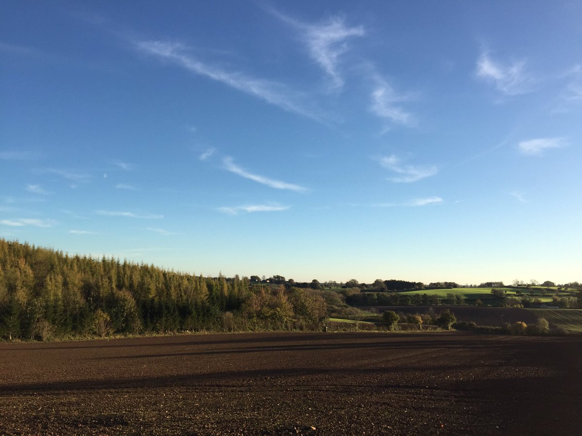 EventsNotable's tweet photo. Last hour of the working week, taking 20 minutes to enjoy a gorgeous sunny day with the dog @hgzenandzany #FindingMindTime #eventsprofs https://t.co/MGfdgieKYG