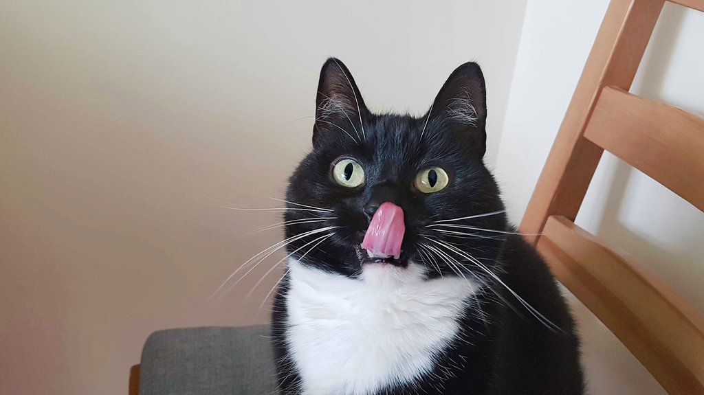 Curious Zelda tweet media