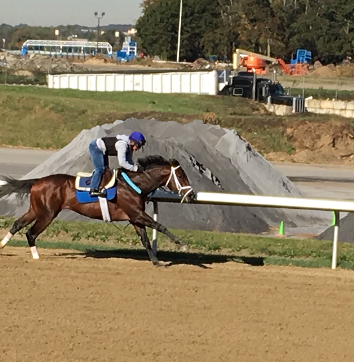 CBossTDN's tweet photo. @ShadwellFarm ‘s G1SW Takaful in final @BreedersCup work @TheNYRA @WatchXBTV @KPMRacingStable #completegentleman https://t.co/ifYlREpf4B