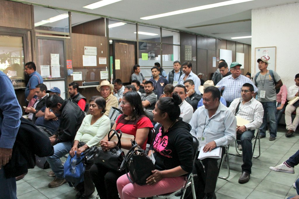 AltamiranoCat's tweet photo. Continúan #AutoridadesMunicipales, dando cumplimiento con la entrega del Tercer Trimestre del Informe de #AGFyEF2017 ante la @Oaxaca_ASE. https://t.co/GdcS2zk38s