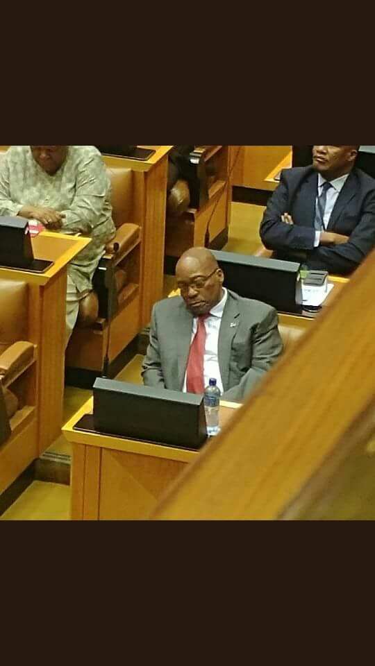 BulelaniPhillip's tweet image. I literally did not sleep all week. Birds decided to reproduce and find a home in my ceiling, over my room. #MyProblems