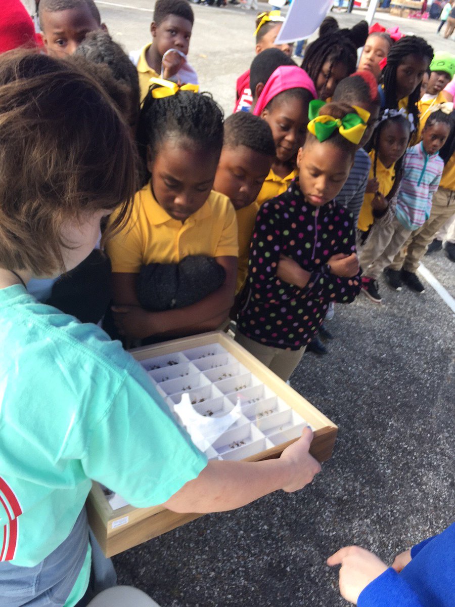 Delta Wildlife tweet media