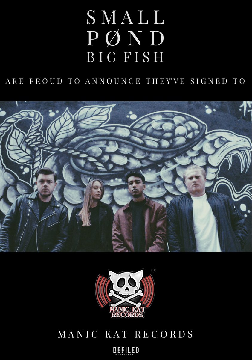 Small Pond Big Fish tweet media