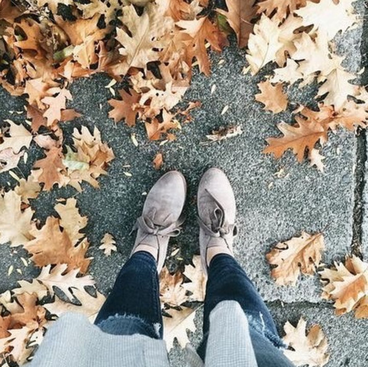 LPH_clothing's tweet photo. We hope this weekend takes you somewhere special. 🍂 #LPHluxury (image via Pinterest) #fallfoliage #fallfashion #autumn #fromwhereistand https://t.co/deBEs37CLj