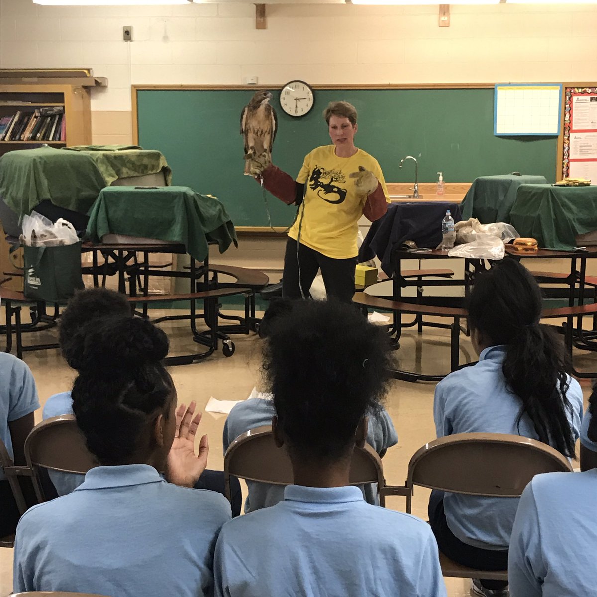 TheEnviSchool's tweet photo. MESA students learning about #wildlife from Ms Thompson of #Wanakia Wildlife.
Meet Kaya the Red Tail #Hawk 
#meetmeatMESA #ELeducation https://t.co/mfy6Zi8TFy