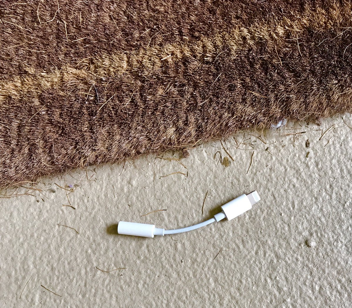 _Andy_Lou's tweet image. Almost lost this little guy. #LightningAdapter