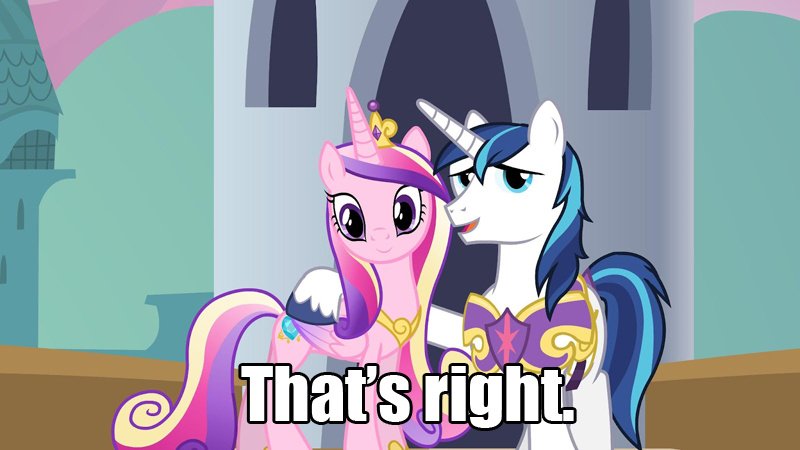 RariCo4Ever's tweet photo. @DrewFrancis604 Was the catch phrase said again? ๐#MLP #PVC17 https://t.co/vIaG1rXO0u
