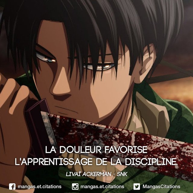 Citation Manga Anime La Douleur Favorise L Apprentissage De La Discipline Livai Ackerman Snk Shingekinokyojin Animecitation Citation T Co Jf8un9je5r