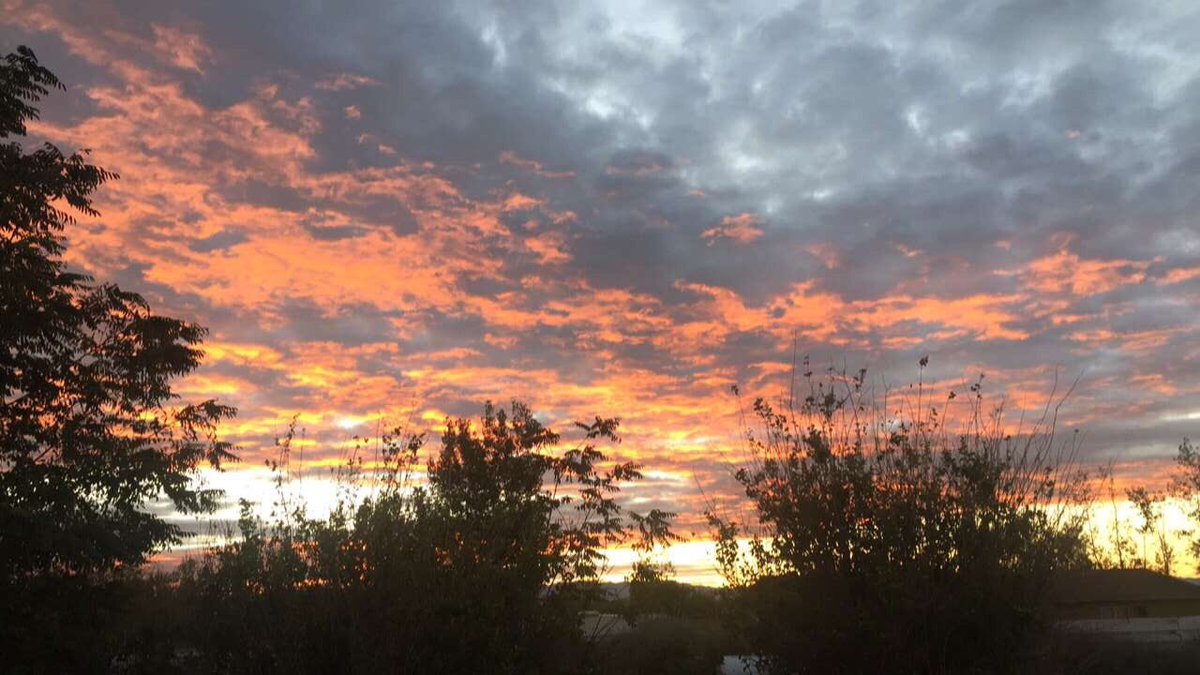 MadisonPaladini's tweet photo. happy Nevada day y'all https://t.co/UD31JURA6T