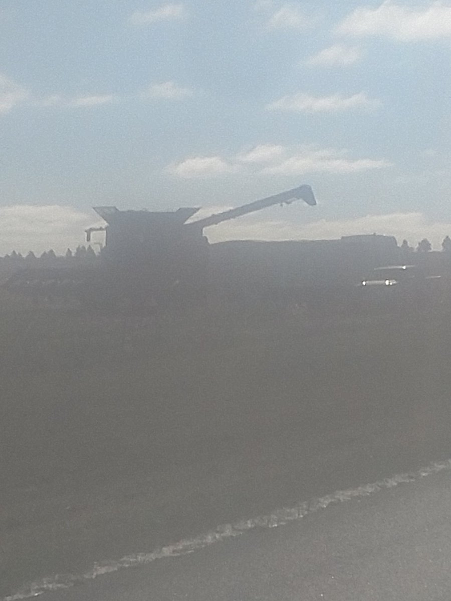 jasonetopp's tweet photo. And that, Ladies and Gentleman, is the last load of Harvest '17! A big thank you to all of the folks that make this possible! https://t.co/sSOc1zAzB2