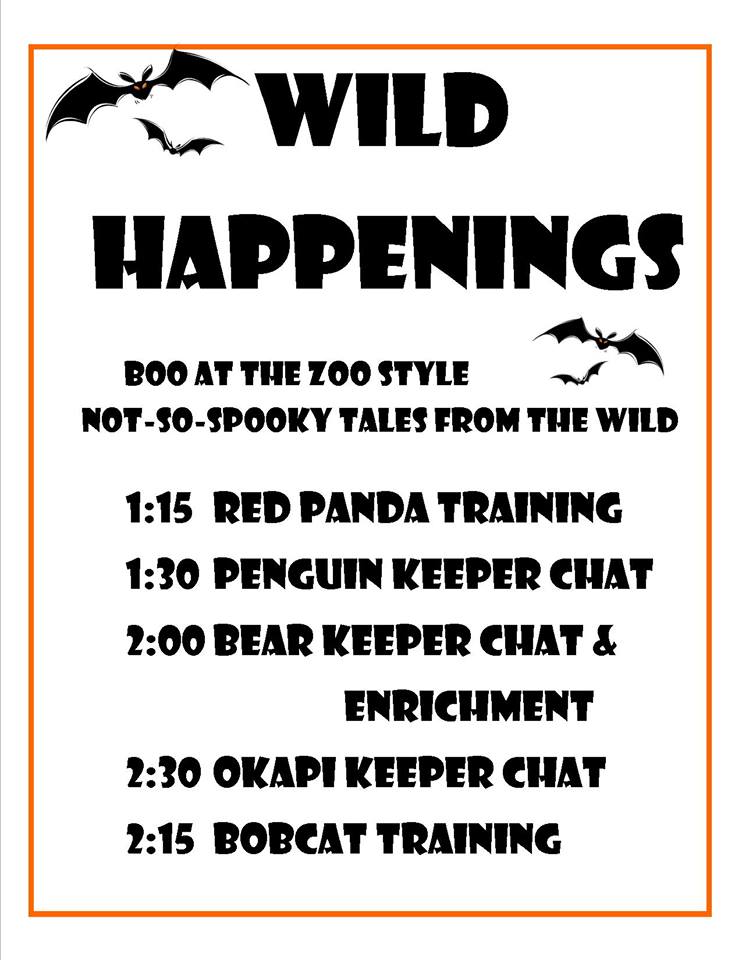 Our Wild Happenings are set for Boo at the Zoo tomorrow! 
Boo at the Zoo is Saturday from 1-4. $2 for members and $3 for non-members.