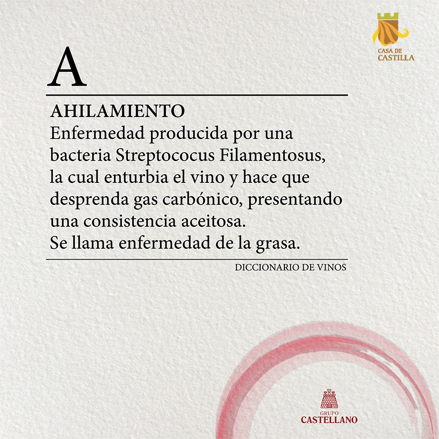Más palabras nuevas, en nuestro #Diccionario de Vino #Vino #GrupoCastellano