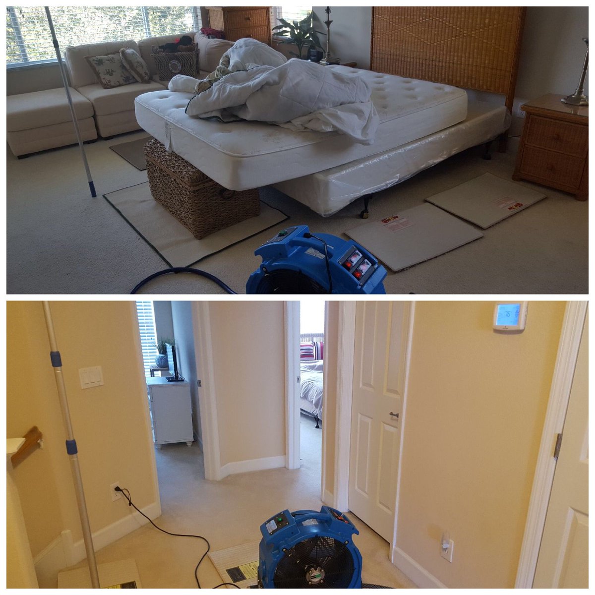 Flbedbugexperts's tweet photo. Thermal Remediation Service Job Tampa, FL #bedbugexperts #bedbugextermination https://t.co/K6g6g9EUaT