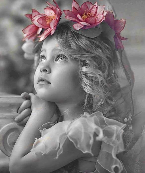 zerok_z's tweet image. 