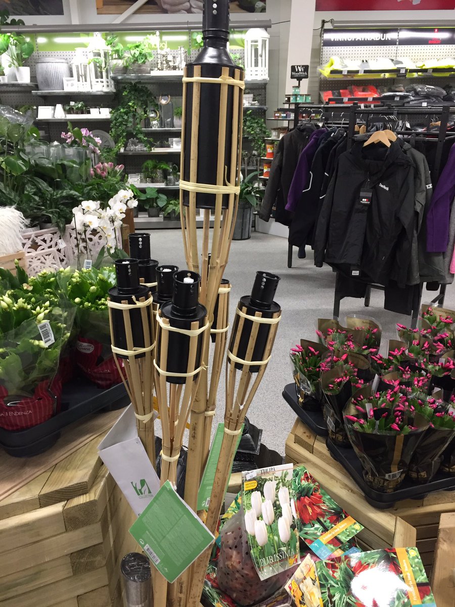 Inga Sæland var að ganga út úr húsasmiðjunni með bretti af þessum fyrir kosningavökuna