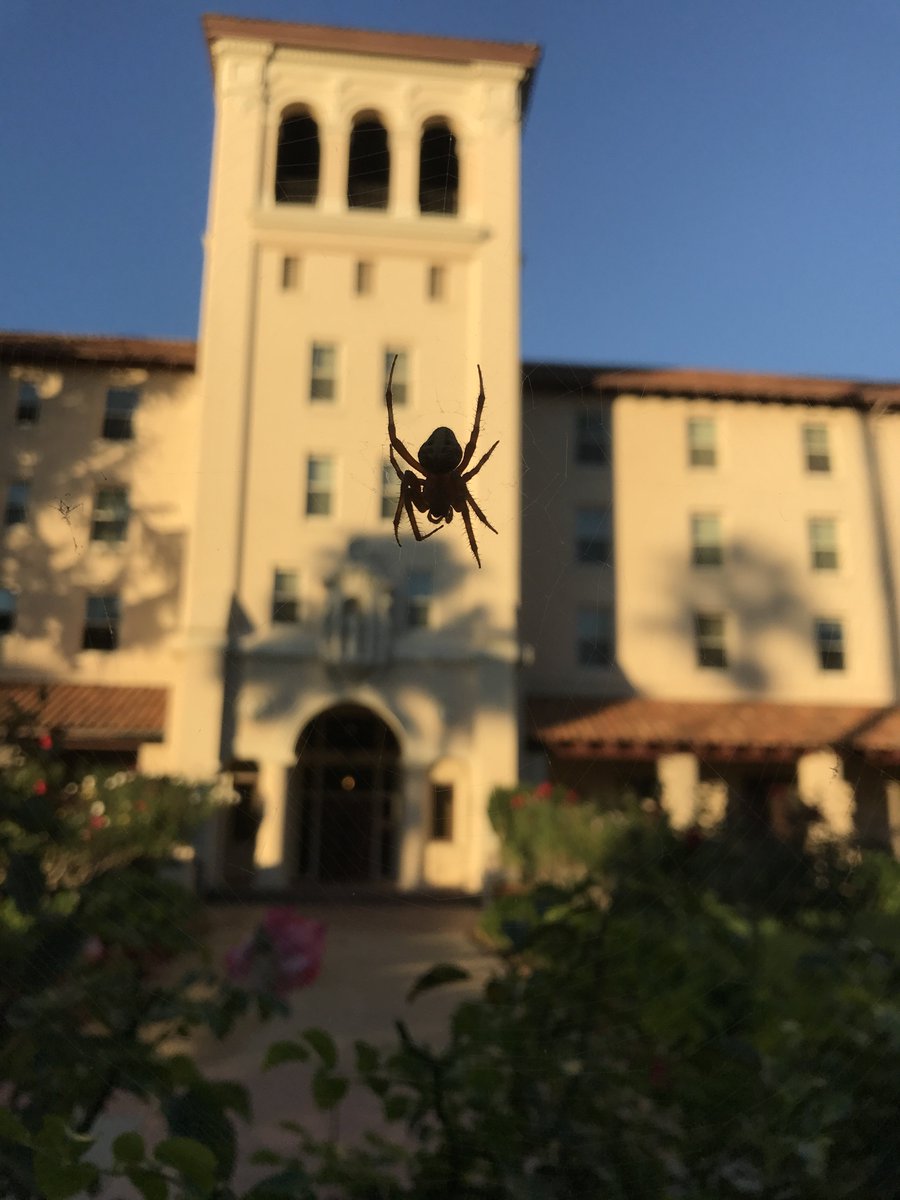 Michelle Bezanson (@bezanswer) on Twitter photo Getting spooky <a href="/SantaClaraUniv/">Santa Clara Univ</a>! Photo by <a href="/SCUGoneWild/">SCU Gone Wild</a> intern and Env Science major Katie Diggs. <a href="/SantaClaraCAS/">SCU Arts & Sciences</a> Getting spooky <a href="/SantaClaraUniv/">Santa Clara Univ</a>! Photo by <a href="/SCUGoneWild/">SCU Gone Wild</a> intern and Env Science major Katie Diggs. <a href="/SantaClaraCAS/">SCU Arts & Sciences</a>