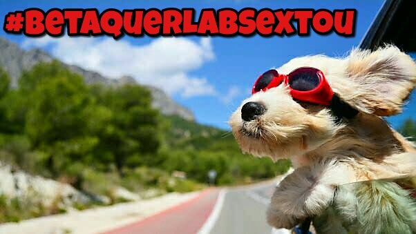 Pega uma carona com este cachorrinho pois final de semana está chegando e o #BetaQuerLabSextou galera!

#BetaQuerLab! Vem com a gente✌