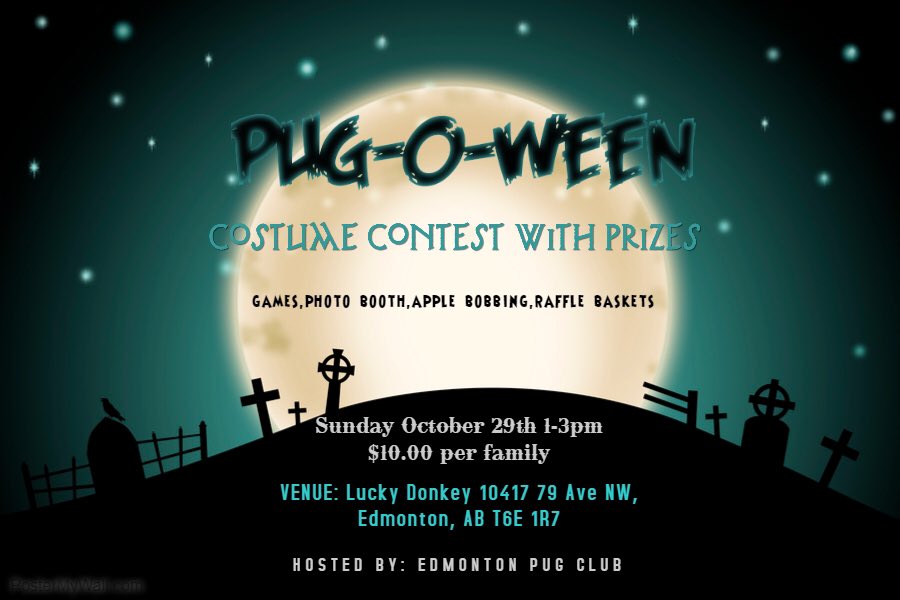 YegPugClub's tweet photo. Don't forget! There's still time, get your costumes and blow our minds ❤️ Pugs and Pug crosses all welcome!! https://t.co/M86P9BCLst