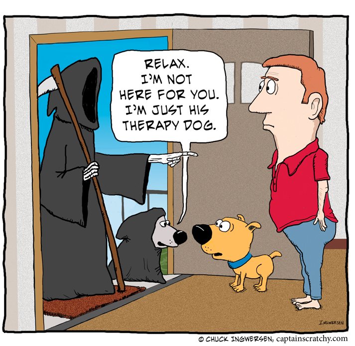 Chuck Ingwersen (@captainscratchy) on Twitter photo 