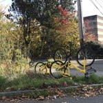Photo by Dockless Bike Fail (@DocklessBike)
