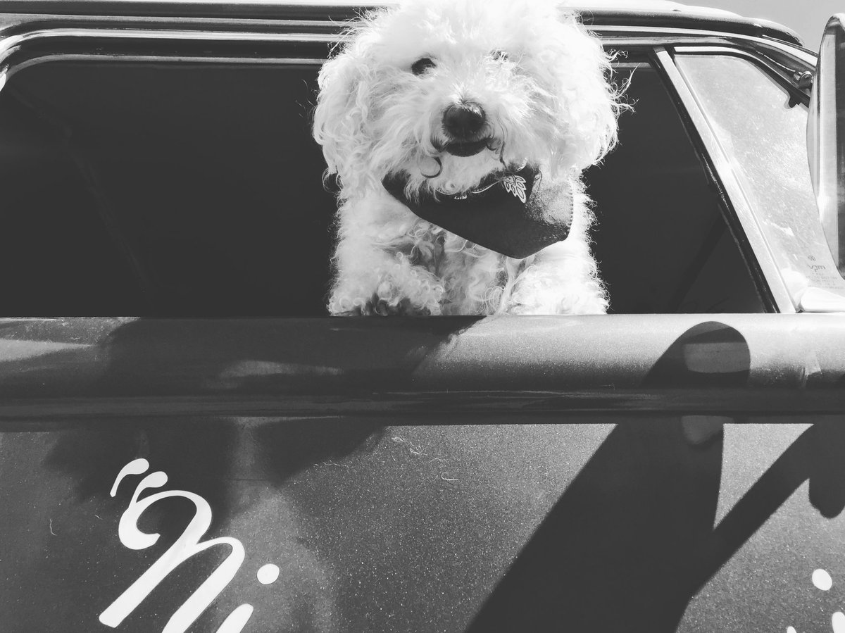 ¡Feliz Viernes a todos! 🐶🔥🔥

#ContigoPan #FoodTruck #OnTheRoad