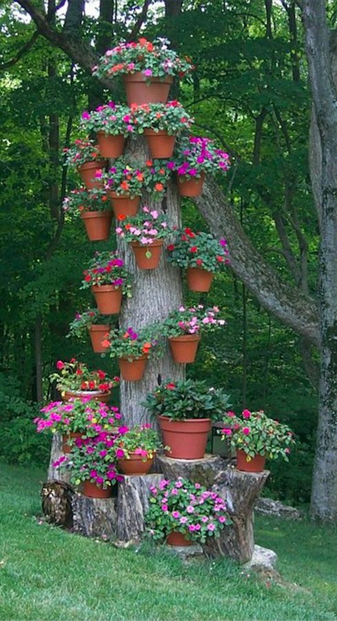 flor Red Ambientalista Garden Rivas on Twitter: "Hasta un árbol talado, puede resultar un elemento  único de decoración y parajismo en tu jardín. ¡Todo es cuestión de ingenio  e imaginación! https://t.co/JVYq7jXeEY" / Twitter