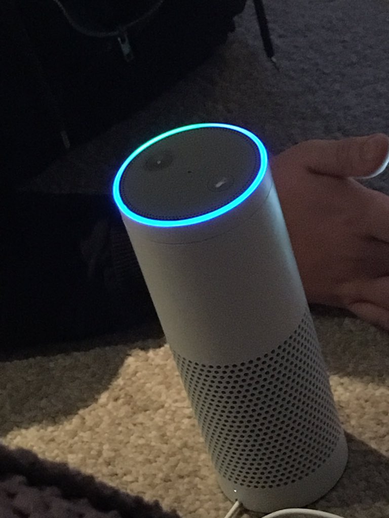 gemdunk's tweet photo. @AmazonHelp Our view of her for the past three weeks 😩😳😡🙁 https://t.co/SzosXIe2JU