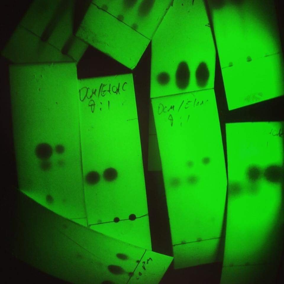 Ultraviyole bir lamba altında ince katmanlı kromatografi (TLC)