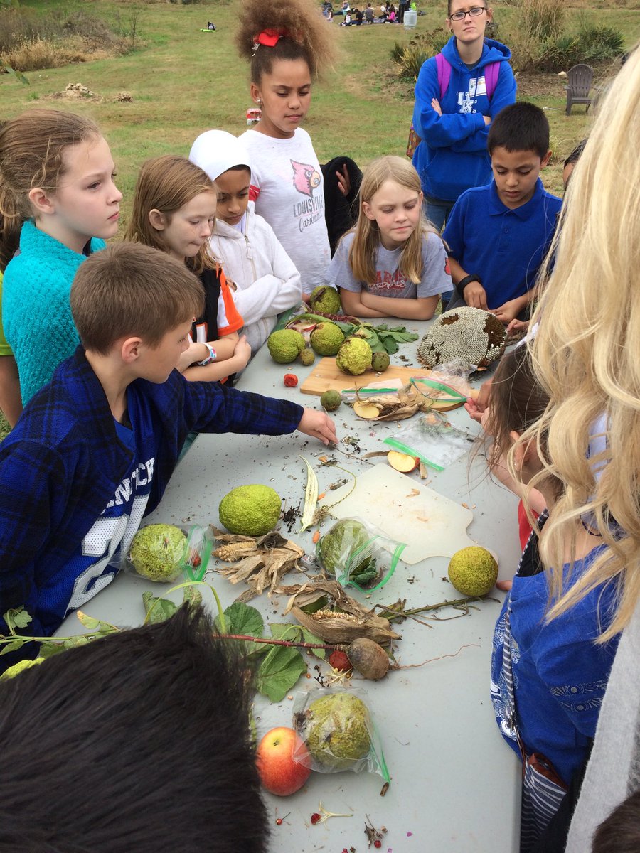 Principal__FES's tweet photo. Finding seeds on the farm! Understanding we’re good comes from! #fairdaleworld #jcpsdl https://t.co/CgXkA8hPxd