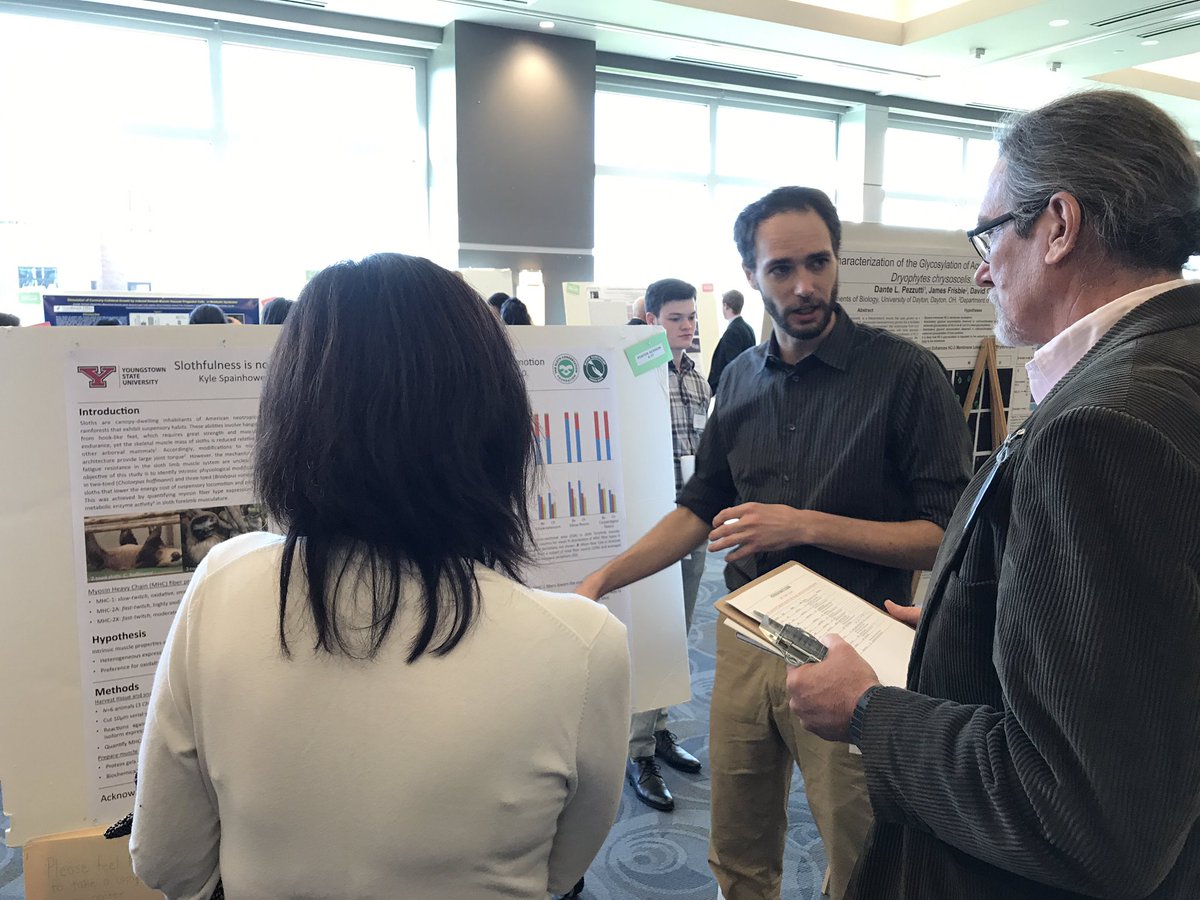 biomechanicsYSU's tweet photo. @KyleSpainhower working the crowd @NEOMEDedu during poster session 1 #APS #OPS2017 https://t.co/vI3NFNV85P