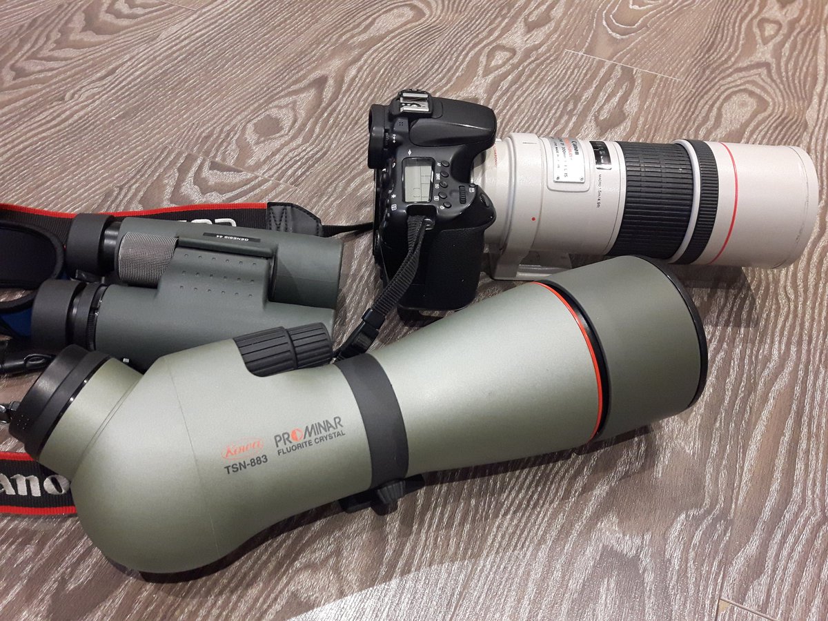 birdtherock's tweet photo. My birding kit reunited! Huge thanks to @KowaOptics for the care, repair & safe return of my incredible TSN-883 Prominar scope! #KowaSystems https://t.co/IP6cqih00c