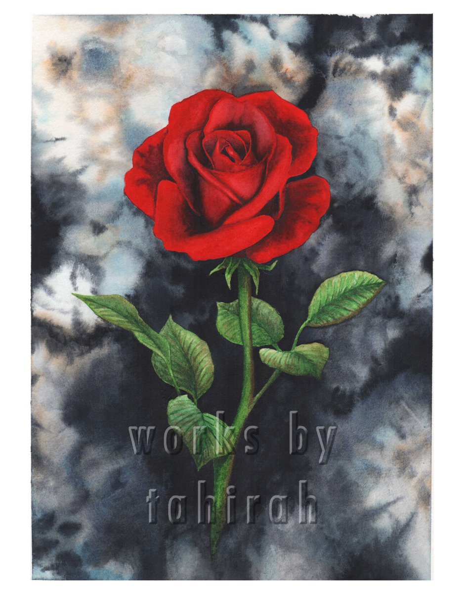 WorksByTahirah's tweet photo. Had to repost these because, reasons! 
#art #painting #colour #rose 
#Illustrator #ipadpro #kidlitart #rose #redrose #create #watercolor https://t.co/A6FlN65beW