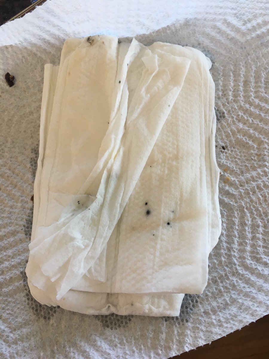 CBSevern's tweet photo. @Honest I thought you had fixed your moldy wipes issue? https://t.co/GGZZIOho12