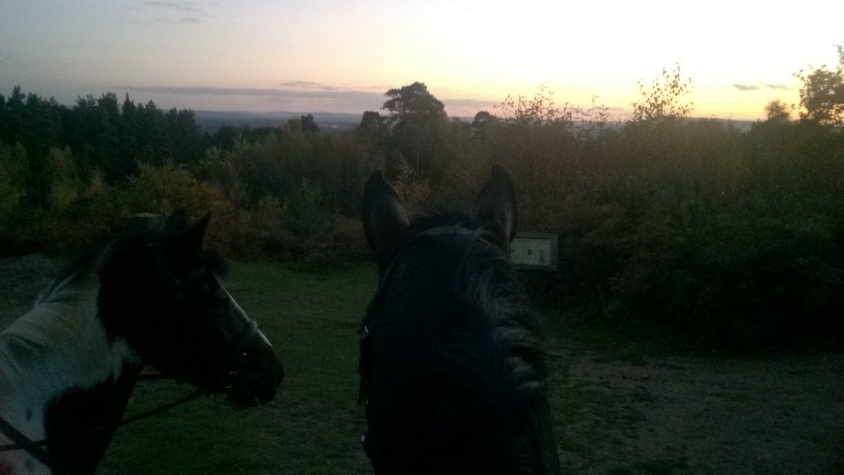 OABDRgang's tweet photo. Dolly & Nick watching the sunset βΊππ΄ #mrnicknak #hydonsball #247equestrian https://t.co/jvmdOVk68I