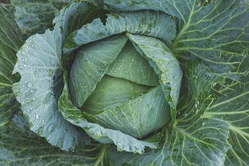 blair_md's tweet photo. Healthy Colon Diet (https://t.co/cDF73DIF7R) #colon https://t.co/6XodNTIWj3
