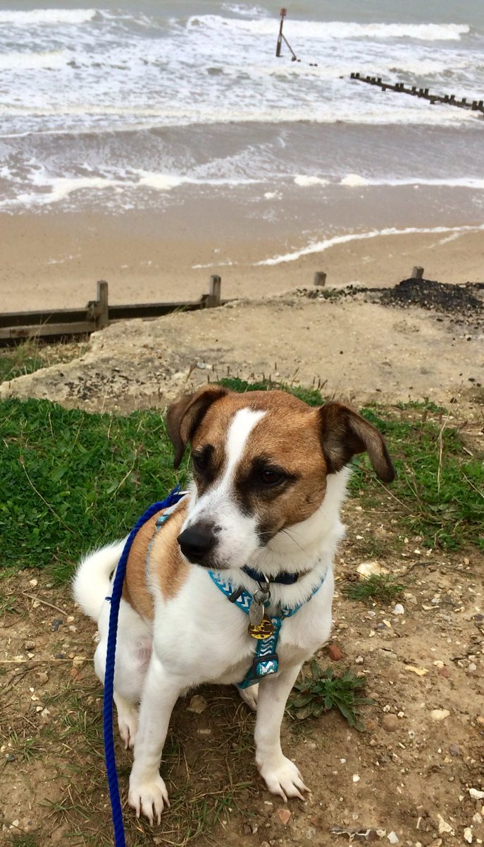 Really windy on the cliffs this afternoon, but we still enjoyed our walk