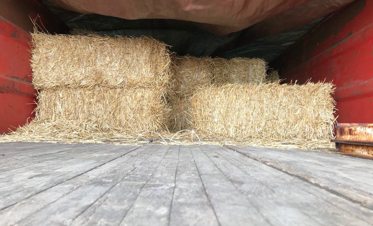 Mainstreetlife's tweet photo. Hay!! Come take a ride with us tomorrow! #gettingthingsready #TrickorTrunk #Mainstreetlife more info at https://t.co/CR565gx7Ue https://t.co/XAyut5DC4v