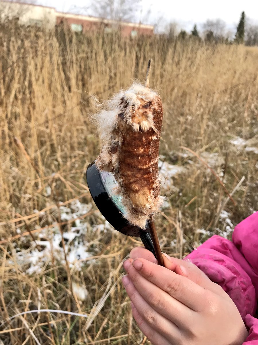ourstoryroom113's tweet photo. Our entire adventure was filled with wonders, theories and pure curiosity about the world around us! #gratefulhearts #findjoyinnature πβ€οΈβ¨π https://t.co/g1Rjvv3Vow