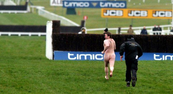 CheltProblems's tweet photo. What a strange looking horse. #CheltenhamProblems https://t.co/SCylYOQ5nK
