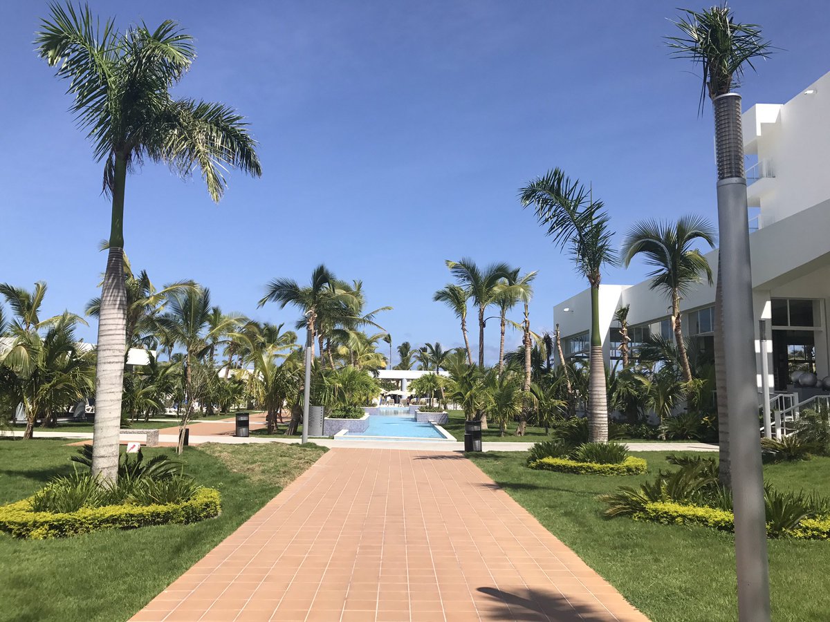 tonimmartin's tweet photo. Lunch alone, palm trees swaying, scrumptious salad and fresh sardines to die for. Life is good. #DR2017 #blessed https://t.co/h1K7AcuyGs