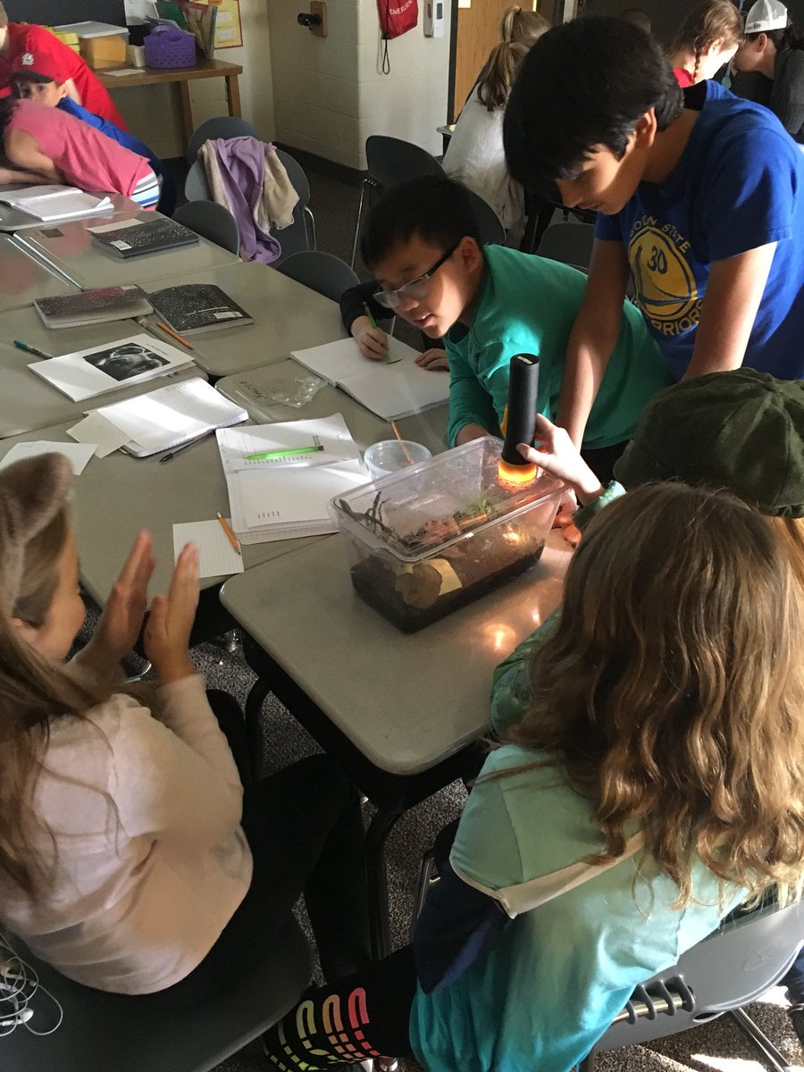 SS_Gasser_456's tweet image. The anoles made their arrival this week... #observations #BehaviorChanges #FoodChain #Crickets #Anoles 🦎🦎🦎🦎🦎