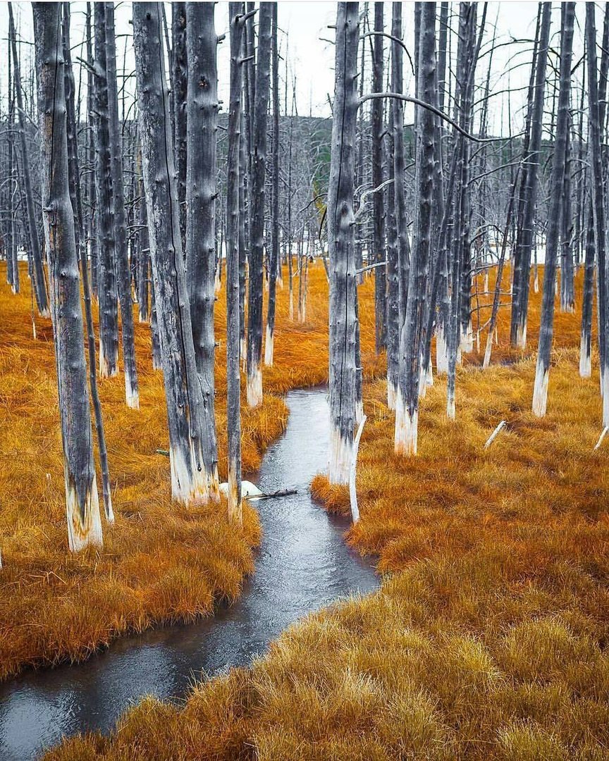 CodyYellowstone's tweet photo. Cody/Yellowstone Country is bursting with fall colors everywhere you look.
https://t.co/xIBNQm8lLY

📷: 'adventures_channel' https://t.co/Av7XEmCEmq