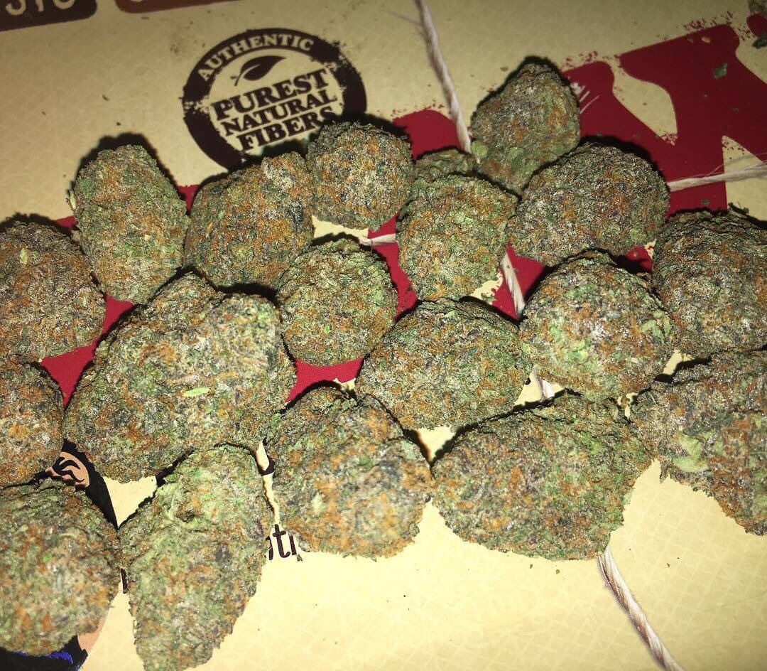 Caliplug4's tweet image. #gelato33 on deck. Hit up for menu and prices 
Wickr ID : caliplug0694